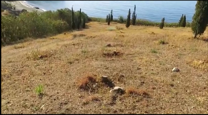 Vamos a devolverle al Parque Mediterrneo todo su esplendor, manifiesta Convergencia Andaluza.